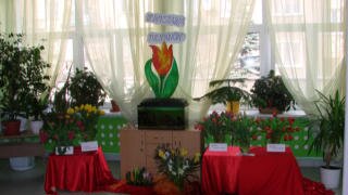 III WYSTAWA TULIPANÓW - dekoracja z tulipanów