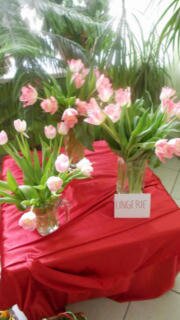 II WYSTAWA TULIPANÓW - tulipany w wazonie