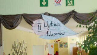 II WYSTAWA TULIPANÓW - dekoracja