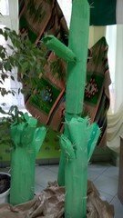 Dzień w Meksyku - dekoracja