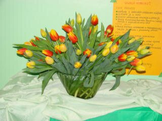 I WYSTAWA TULIPANÓW - tulipany w wazonie