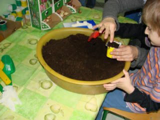 I WYSTAWA TULIPANÓW - sadzenie tulipanów